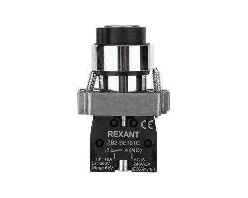 Переключатель BD21 2P с замком NO Rexant 36-5552