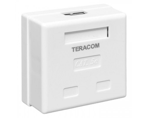 Розетка настенная TERACOM кат.5E неэкранированная 2 порта RJ-45 Dual IDC бел. EKF TRC-WBOX-2RJ45-5EUTP-WH