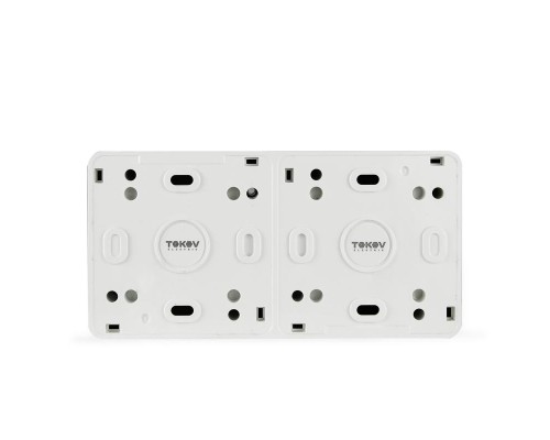 Розетка 2-м ОП Nix 16А IP54 250В с заземл. с крышкой бел. TOKOV ELECTRIC TKE-NX-R2Z-C01-IP54